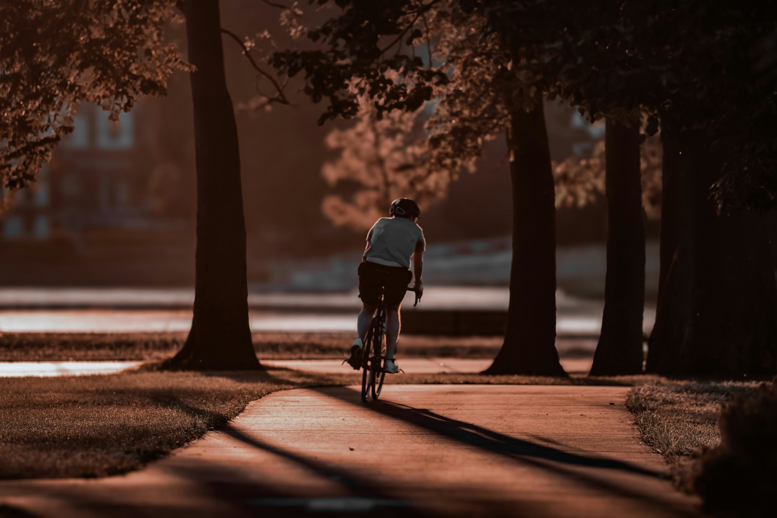 Kostenloses Stock Foto zu bucht inselpark, dämmerung, fahrrad